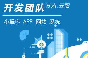 研发队伍力量